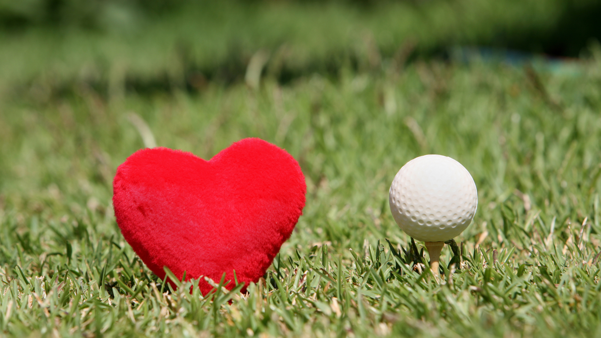 @niftyニュース、d manu、BIGLOBEに掲載されました！